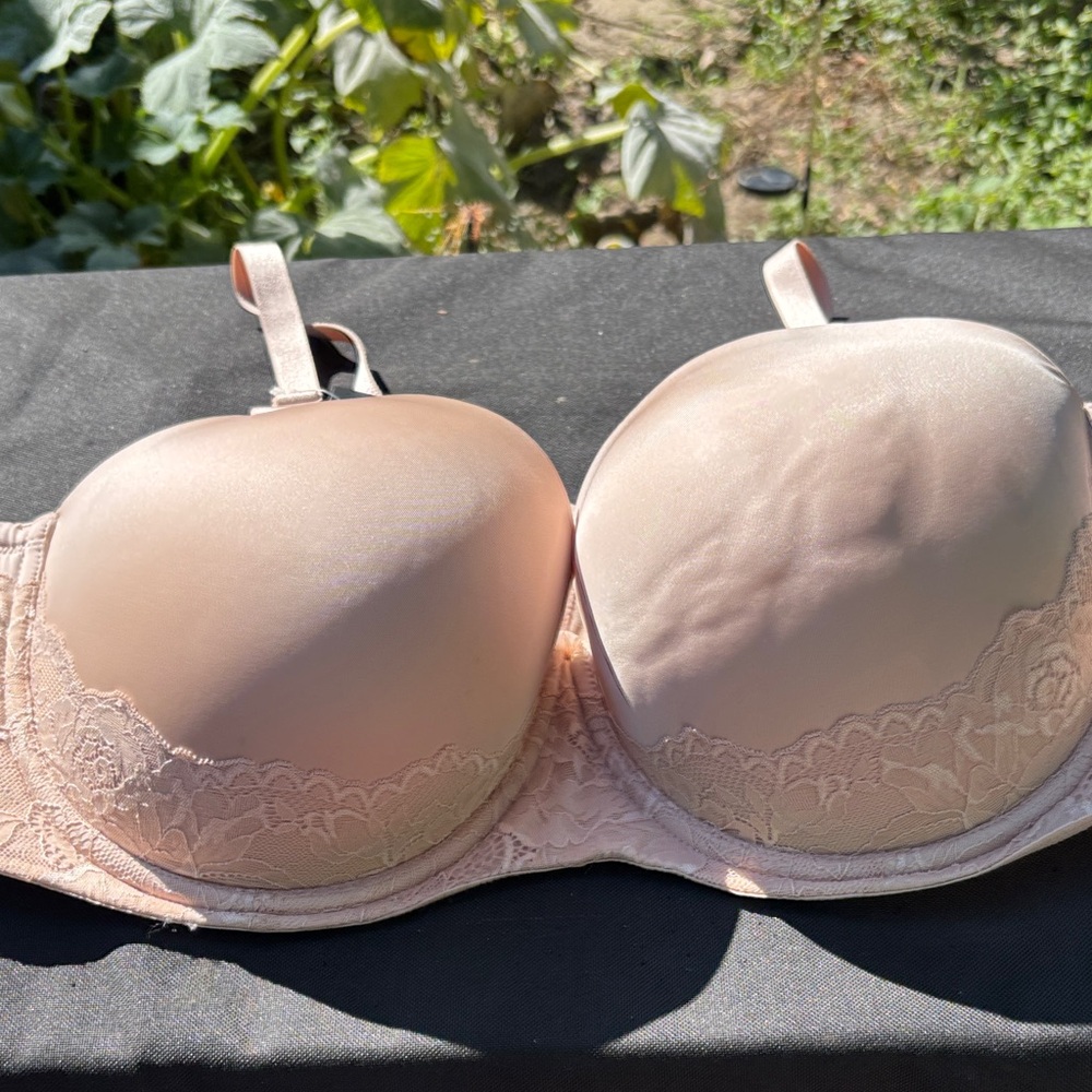 Lace Push-Up Bra - Blush
